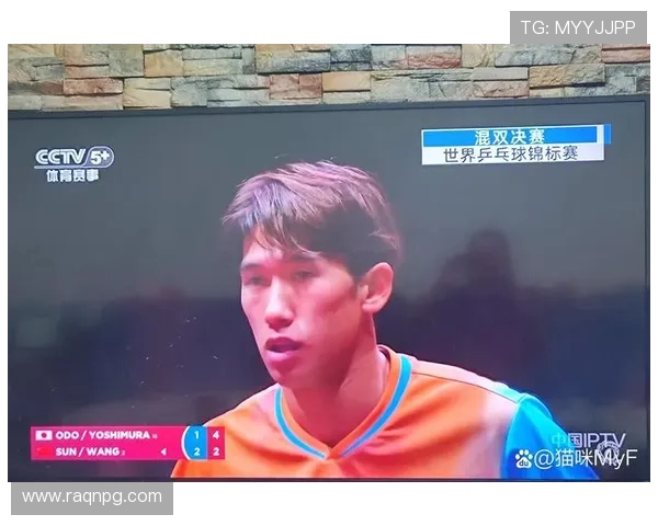 体育迷对体育赛事互动功能偏好